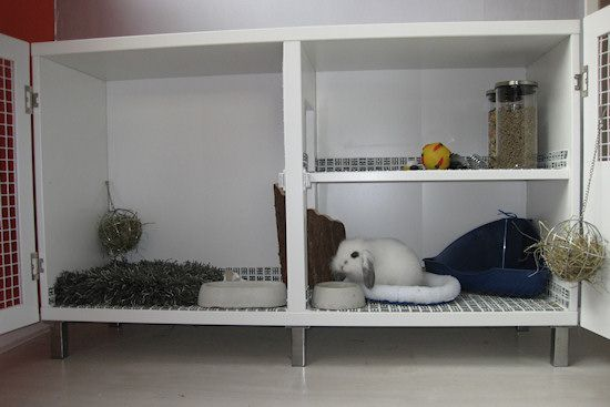 How To Build An Indoor Rabbit Hutch