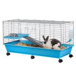 Indoor Rabbit Cages Petsmart