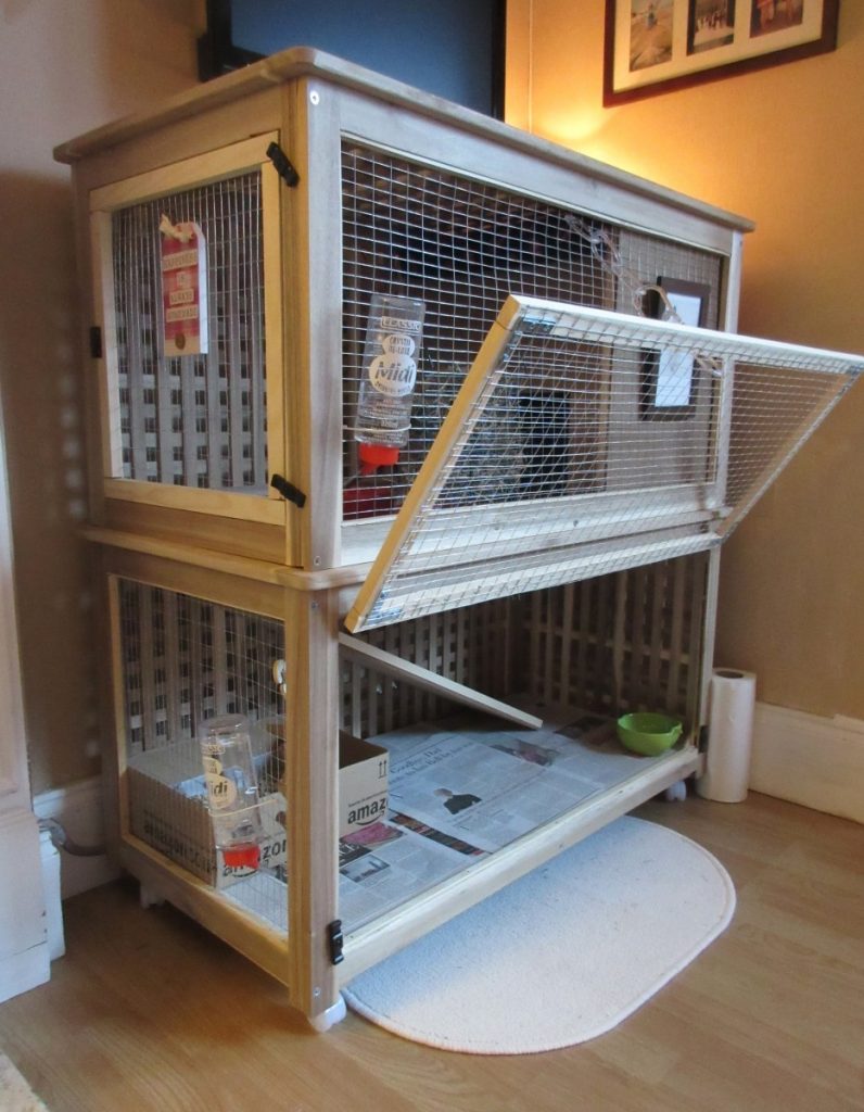 Tips To Select Indoor Rabbit Cages & Rabit Cage Plans